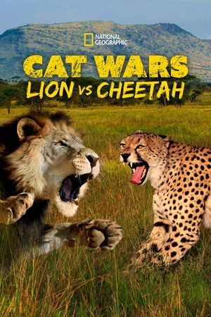 Cat Wars: Lion vs. Cheetah's poster