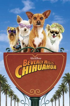 Beverly Hills Chihuahua's poster