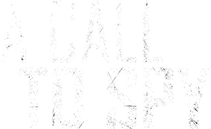 A Call to Spy's poster