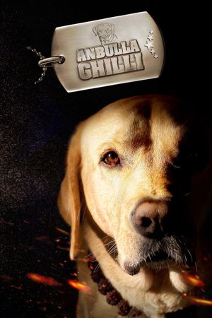 Anbulla Ghilli's poster