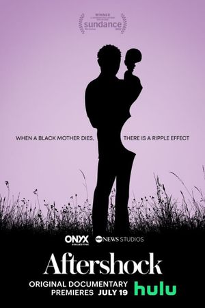 Aftershock's poster