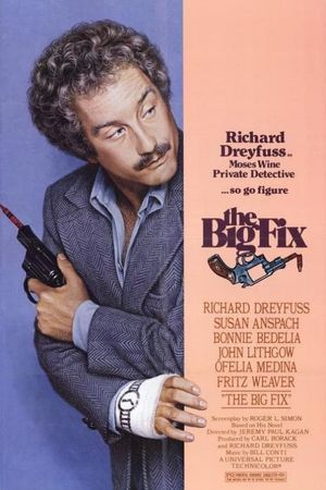 The Big Fix's poster