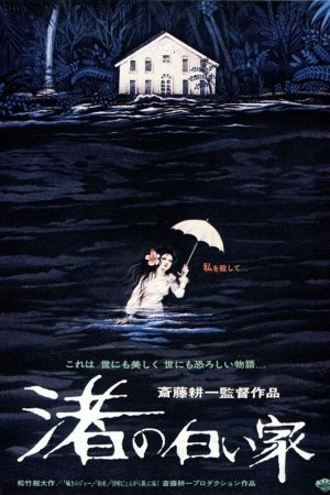 Invitation from the Beach's poster