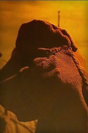 In the Desert's poster