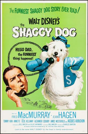 The Shaggy Dog's poster