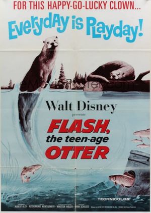 Flash, The Teenage Otter's poster