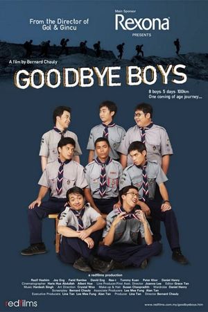 Goodbye Boys's poster