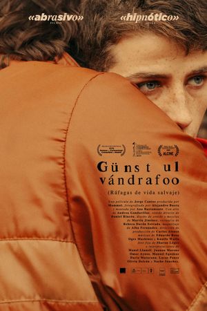 Gusts of Wild Life's poster
