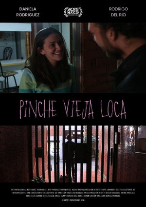 Pinche Vieja Loca's poster