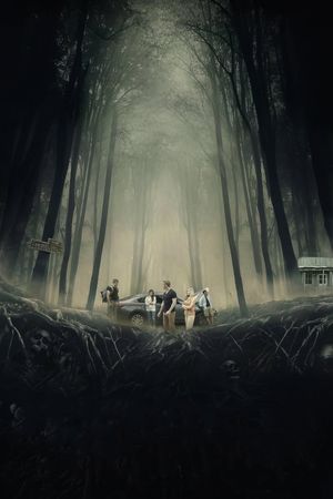 The Emeryville Experiments's poster