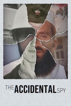 The Accidental Spy's poster