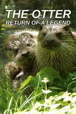 The Otter: A Legend Returns's poster