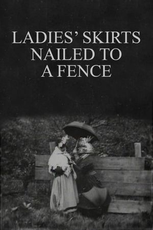 Ladies' Skirts Nailed to a Fence's poster