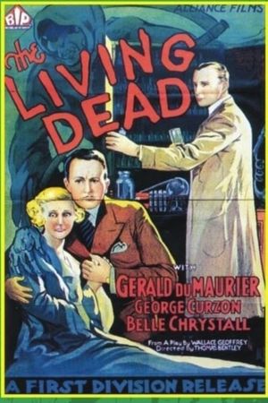 The Scotland Yard Mystery's poster