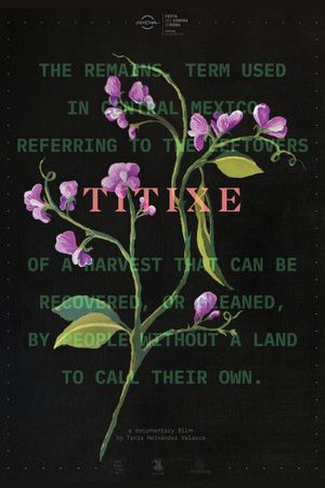 Titixe's poster