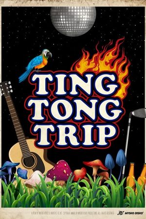 Mysko Disko: Ting Tong Trip's poster