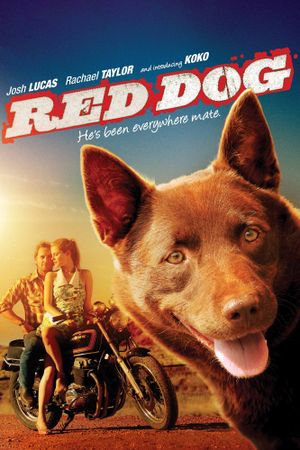 Red Dog's poster