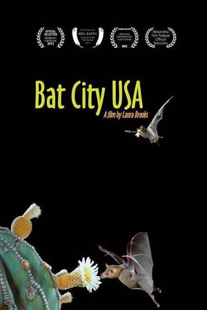 Bat City USA's poster