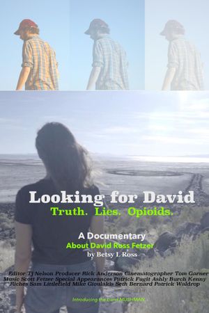 Looking for David's poster