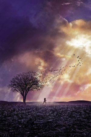 The Lovely Bones's poster