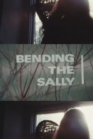 Bending the Sally's poster
