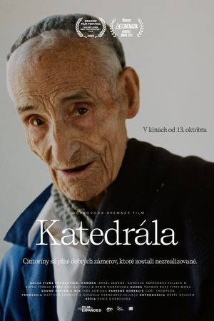 The Cathedral's poster