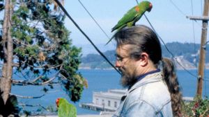 The Wild Parrots of Telegraph Hill's poster