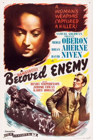 Beloved Enemy's poster