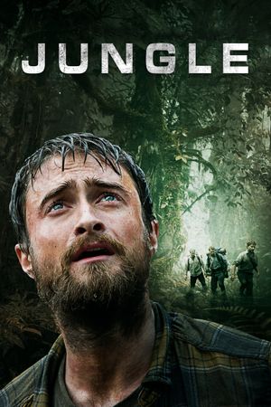 Jungle's poster