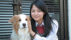 All About My Dog's poster