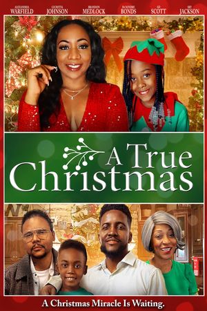A True Christmas's poster
