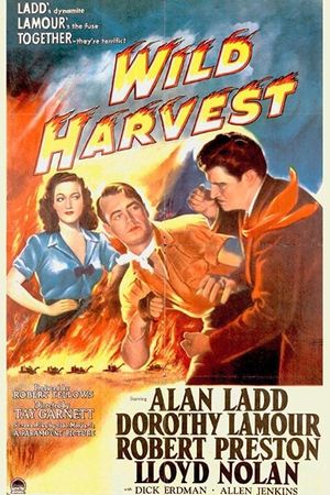 Wild Harvest's poster image
