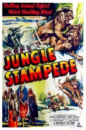 Jungle Stampede's poster