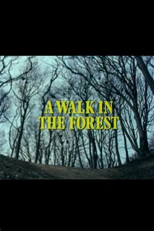 A Walk in the Forest's poster