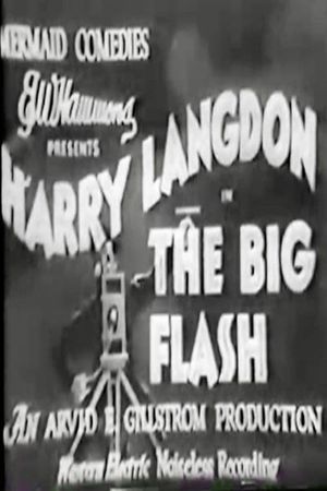 The Big Flash's poster