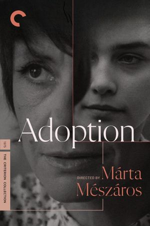 Adoption's poster
