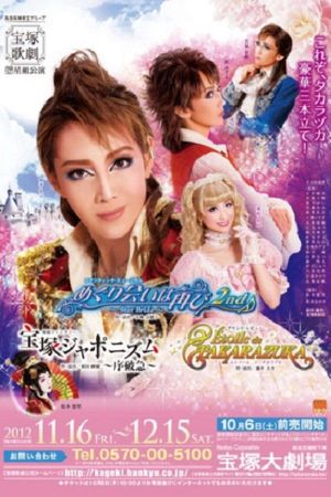 A Second Fortuitous Meeting 2nd ~Star Bride~'s poster