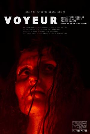 Voyeur's poster image