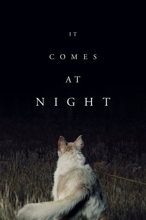 It Comes at Night's poster image