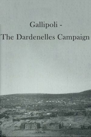 Gallipoli - The Dardenelles Campaign's poster