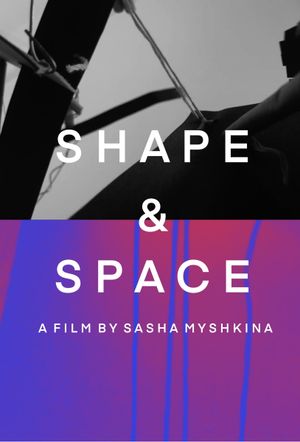 Shape&Space's poster