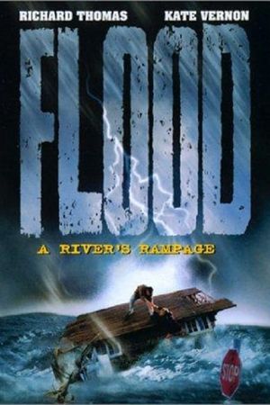 Flood: A River's Rampage's poster