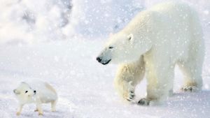 The Great Polar Bear Adventure's poster