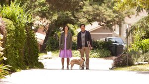 Seeking a Friend for the End of the World's poster