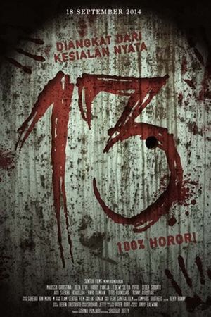 13's poster