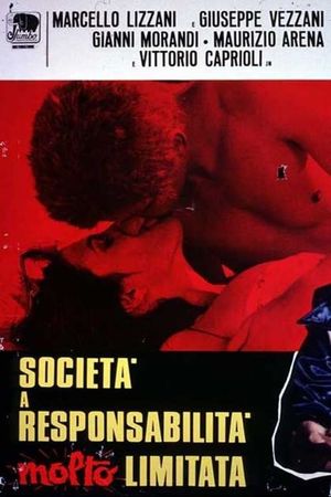 Società a responsabilità molto limitata's poster