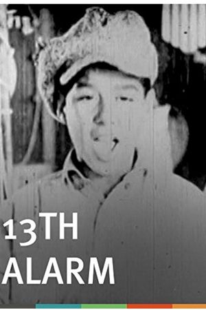 13th Alarm's poster