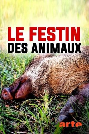 Le festin des animaux's poster