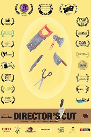 Director's Cut's poster