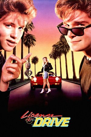 License to Drive's poster image